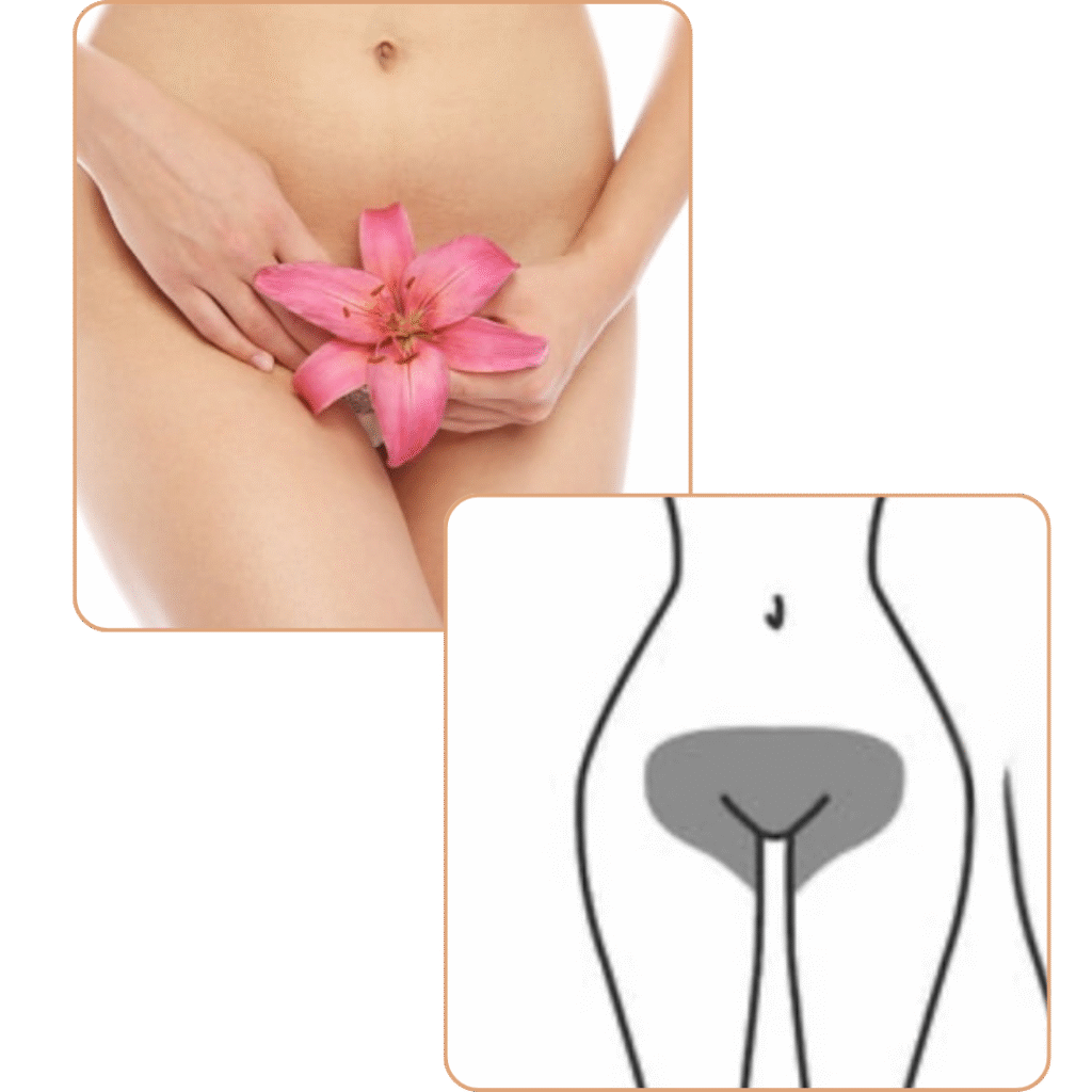 Brazilian waxing at Pelle Sana Facial Spa in Hummelstown for complete smoothness from front to back.