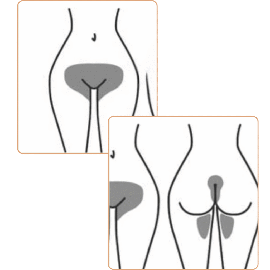 Bikini waxing at Pelle Sana Facial Spa in Hummelstown for complete smoothness from front to back.